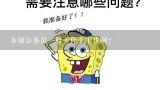 乡镇公务员一般干什么工作啊？