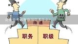 人力资源专业考公务员可选什么岗位?动物医学专业考公务员有什么岗位