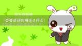 公务员证的用途是什么?