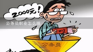 公务员职业怎么填