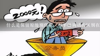 什么是保留原级别任职，与平级调动的区别在哪里？