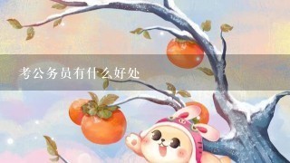 考公务员有什么好处