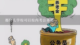 都什么学校可以校内考公务员