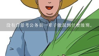 没有背景考公务员一辈子能混到什麽级别。