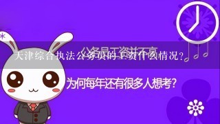 天津综合执法公务员的工资什么情况？