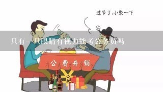 只有一只眼睛有视力能考公务员吗