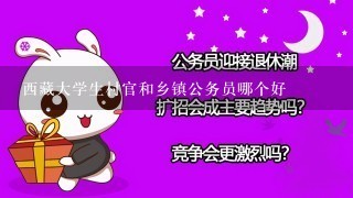 西藏大学生村官和乡镇公务员哪个好