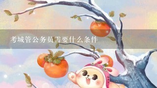 考城管公务员需要什么条件