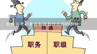 程序员考公务员有没有什么好的职位