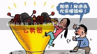 我国公务员（官）组织架构