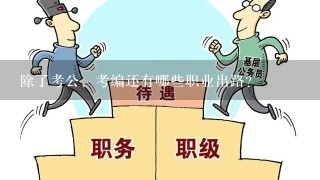 除了考公、考编还有哪些职业出路？