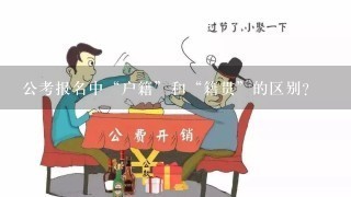 公考报名中“户籍”和“籍贯”的区别？