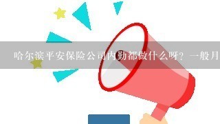 哈尔滨平安保险公司内勤都做什么呀？1般月薪多少钱？什么要求。