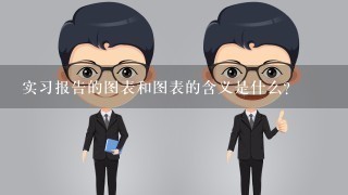 实习报告的图表和图表的含义是什么?