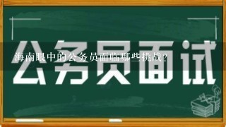 海南眼中的公务员面临哪些挑战?